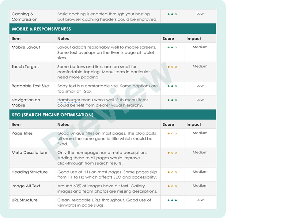 websire audit review preview